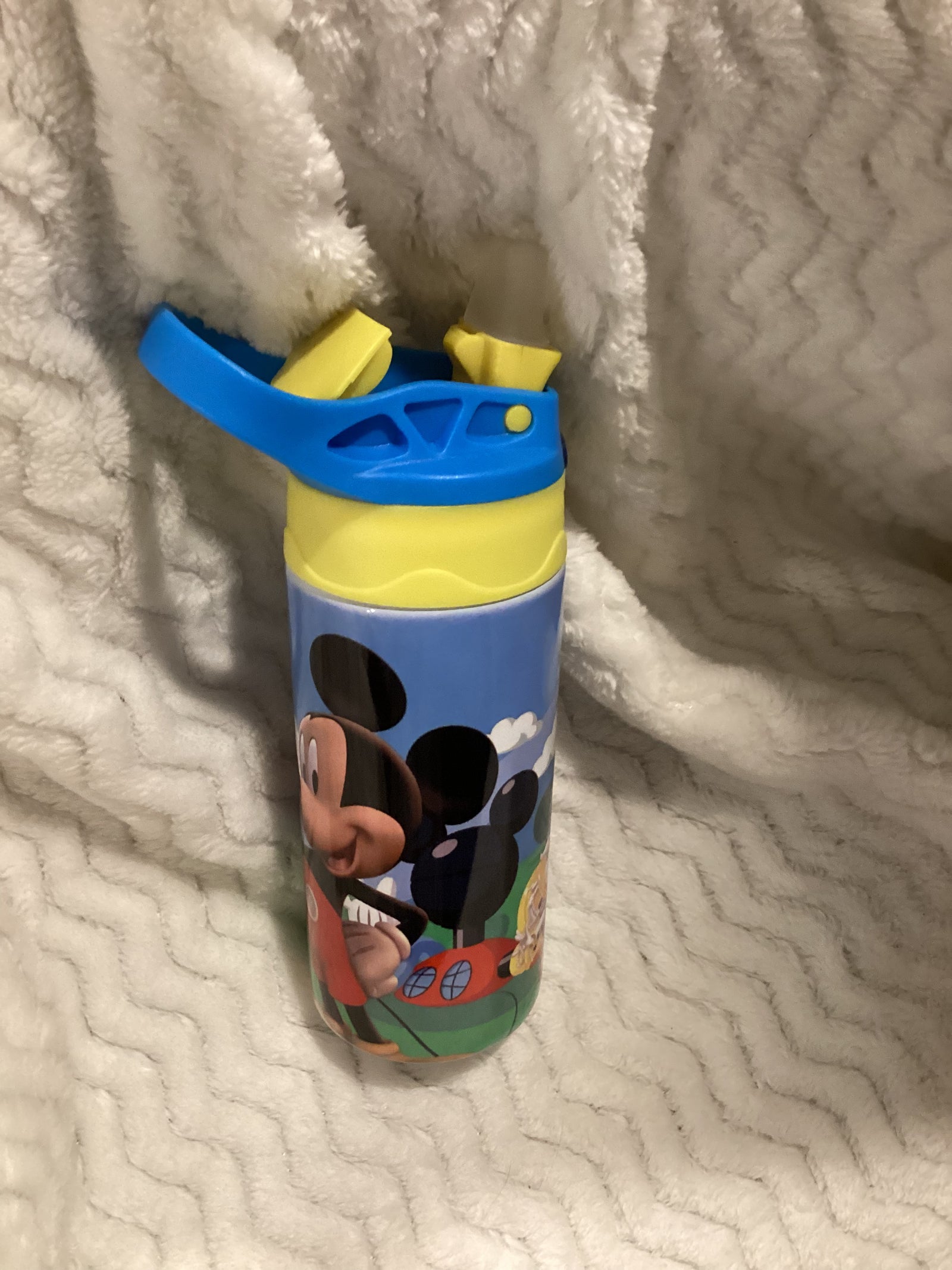 Mickey Mouse Sippy